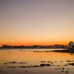 Pumo salentino: storia e curiosità