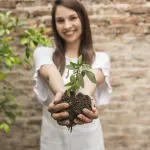 Il modello alla base dell’agricoltura sostenibile