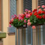 Fioriera da balcone, ecco come scegliere il modello migliore