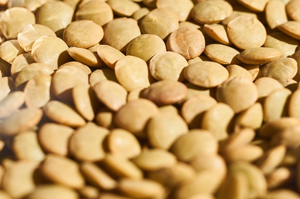 Lenticchie di Villalba: caratteristiche e come riconoscerle