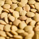 Lenticchie di Villalba: caratteristiche e come riconoscerle